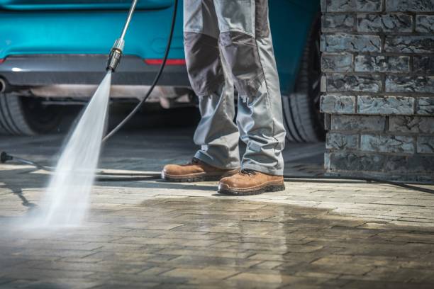 Best Animal Enclosure Cleaning  in Orange City, IA