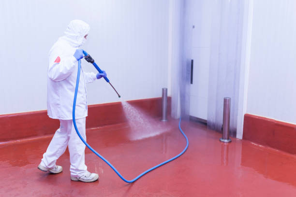 Best Boat and Dock Cleaning  in Orange City, IA