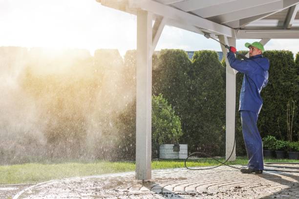 Best Graffiti Removal  in Orange City, IA